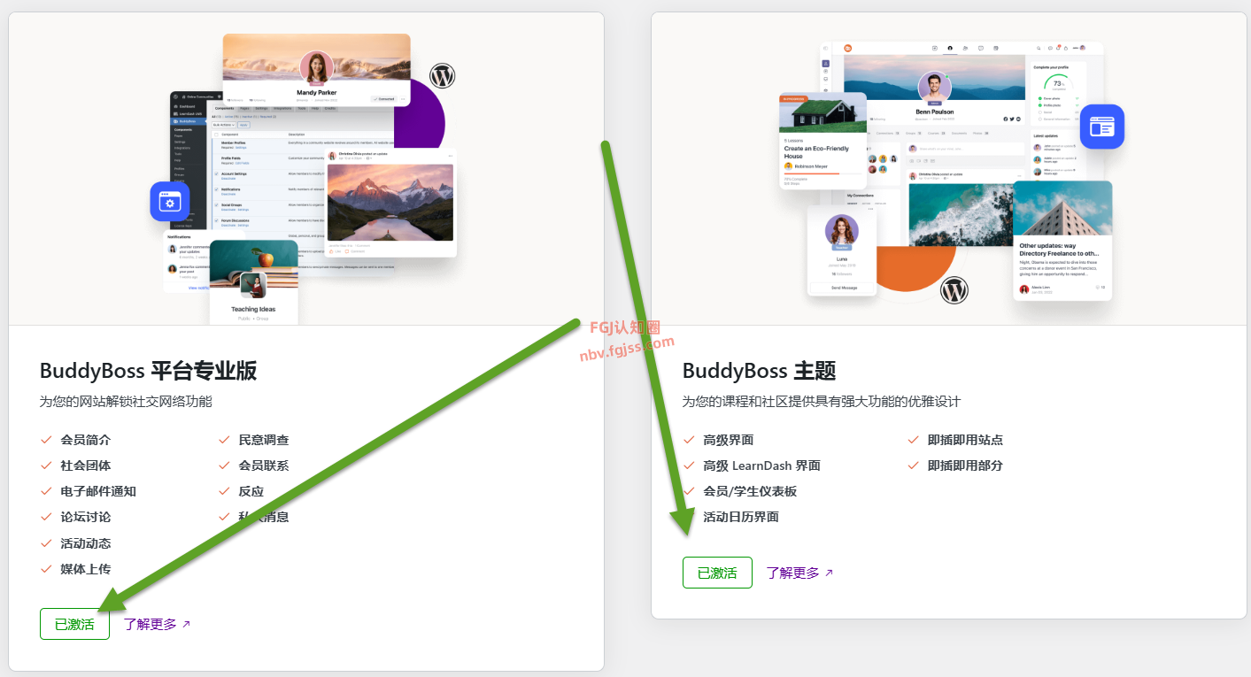 BuddyBoss Platform Pro主题+插件：WP论坛社区主题（不限域名激活）