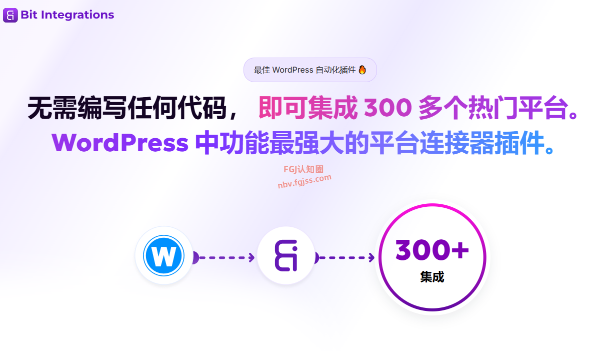 Bit Integrations Pro - 第三方应用集成插件 2025111408350268