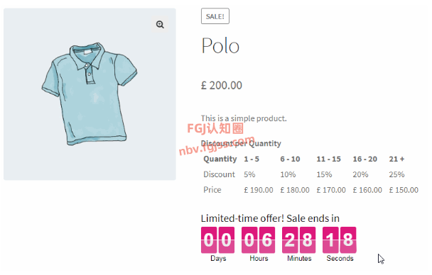Discount Rules and Dynamic Pricing for WooCommerce - WooCommerce动态定价与折扣插件 2025121009231097